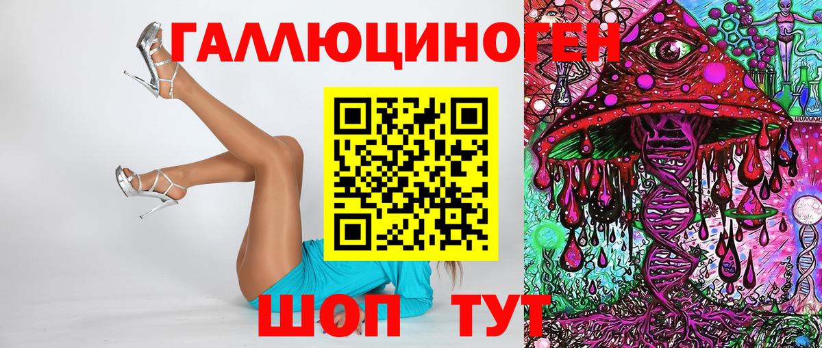 Псилоцибиновые грибы Cubensis Геленджик