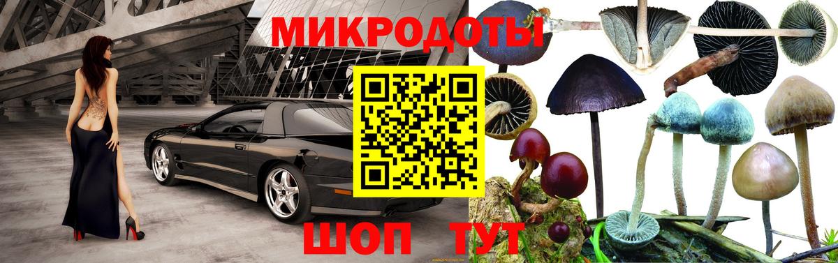 Геленджик  Псилоцибиновые грибы ЛСД  Псилоцибиновые грибы GOLDEN TEACHER  Вход с VPN 
